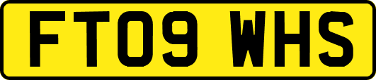 FT09WHS