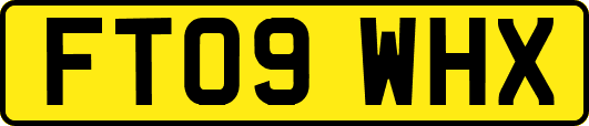 FT09WHX