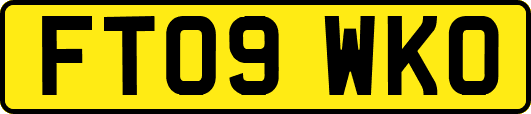 FT09WKO