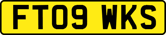 FT09WKS