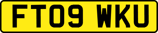 FT09WKU