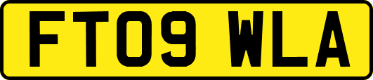 FT09WLA