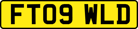 FT09WLD