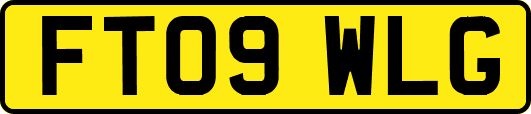 FT09WLG