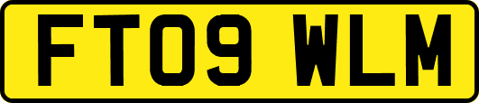 FT09WLM
