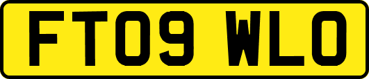 FT09WLO