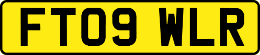 FT09WLR