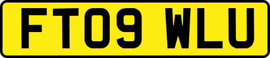 FT09WLU