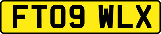 FT09WLX