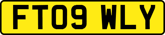 FT09WLY
