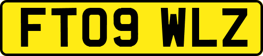 FT09WLZ
