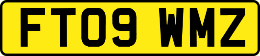 FT09WMZ