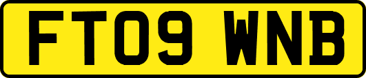 FT09WNB