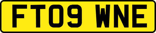 FT09WNE