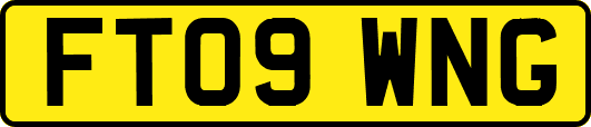 FT09WNG