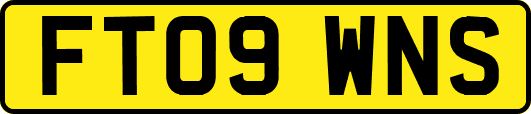 FT09WNS
