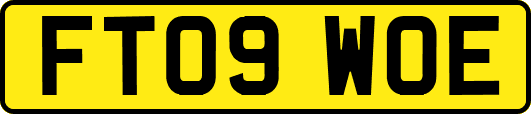 FT09WOE