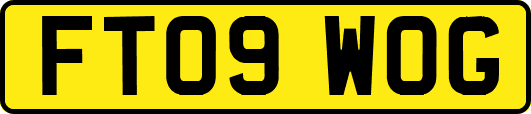 FT09WOG