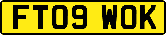 FT09WOK