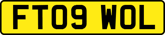 FT09WOL