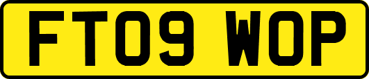FT09WOP