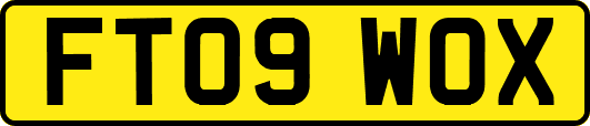 FT09WOX