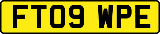 FT09WPE