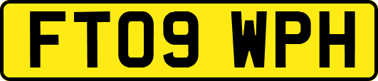 FT09WPH