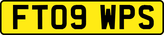 FT09WPS