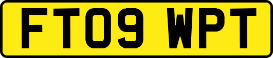 FT09WPT