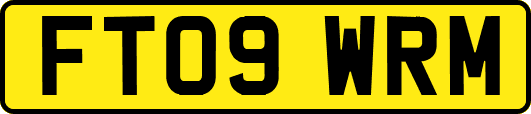 FT09WRM