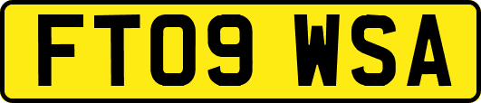 FT09WSA