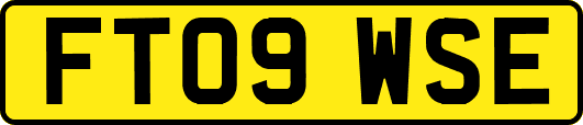 FT09WSE