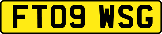 FT09WSG