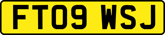 FT09WSJ