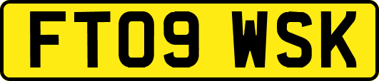 FT09WSK