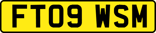FT09WSM
