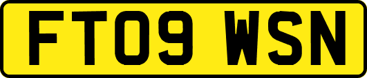 FT09WSN