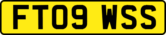 FT09WSS