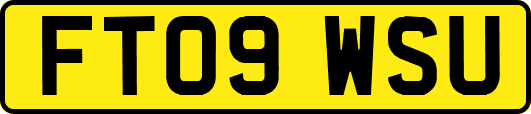 FT09WSU