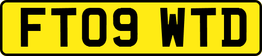 FT09WTD