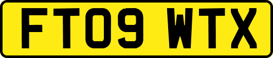 FT09WTX