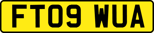 FT09WUA
