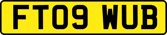 FT09WUB