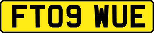 FT09WUE