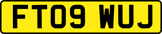 FT09WUJ