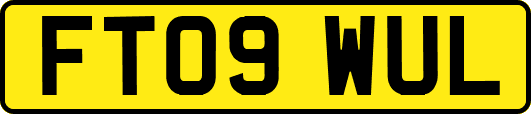 FT09WUL