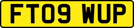 FT09WUP