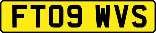 FT09WVS