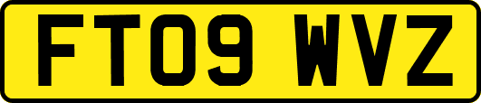 FT09WVZ